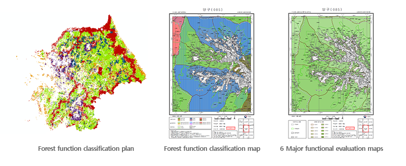 Creation of forest function classification plan and production of drawings